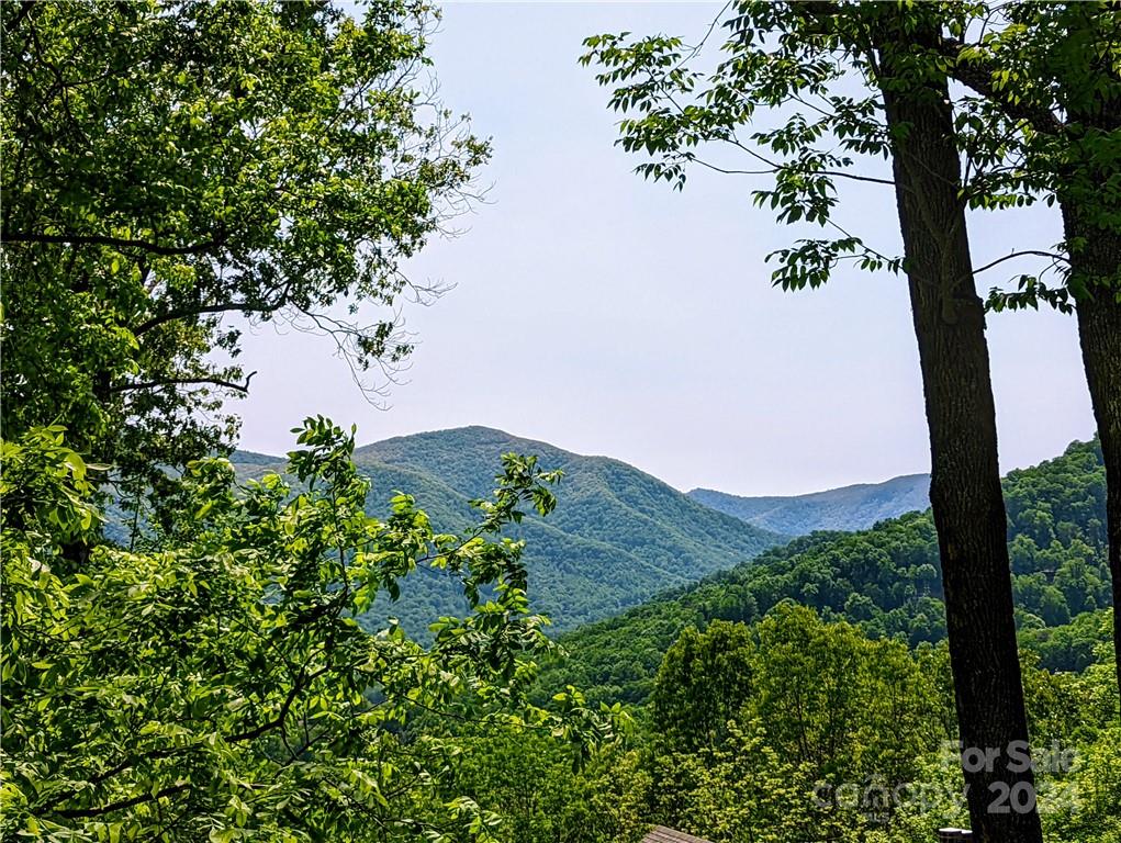 11 Trout Lily Lane Maggie Valley NC 28751
