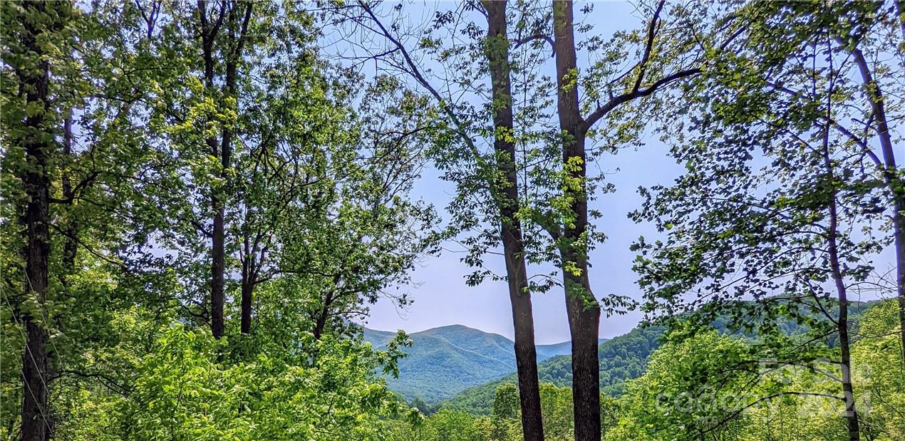 11 Trout Lily Lane Maggie Valley NC 28751