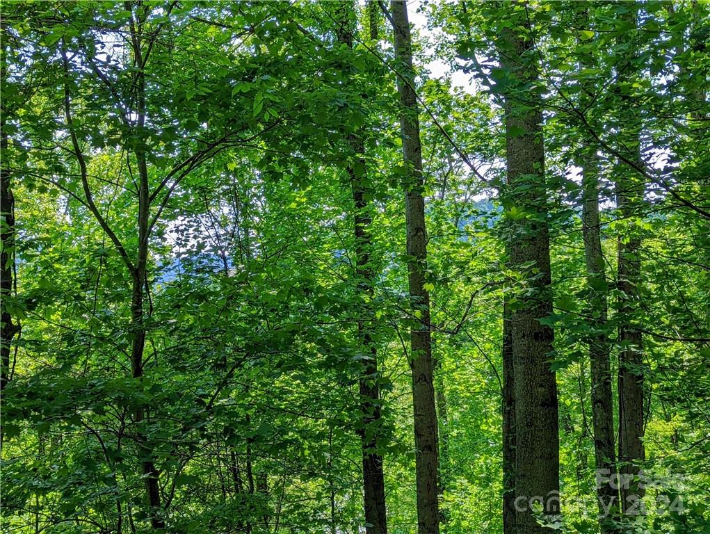 11 Trout Lily Lane Maggie Valley NC 28751