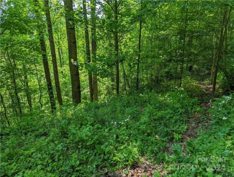 11 Trout Lily Lane Maggie Valley NC 28751