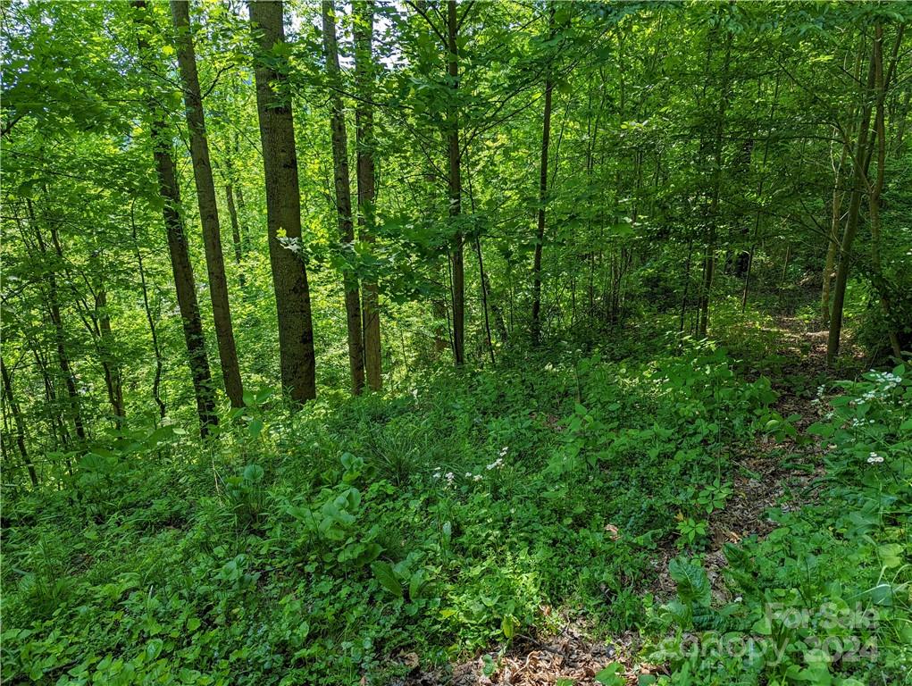 11 Trout Lily Lane Maggie Valley NC 28751