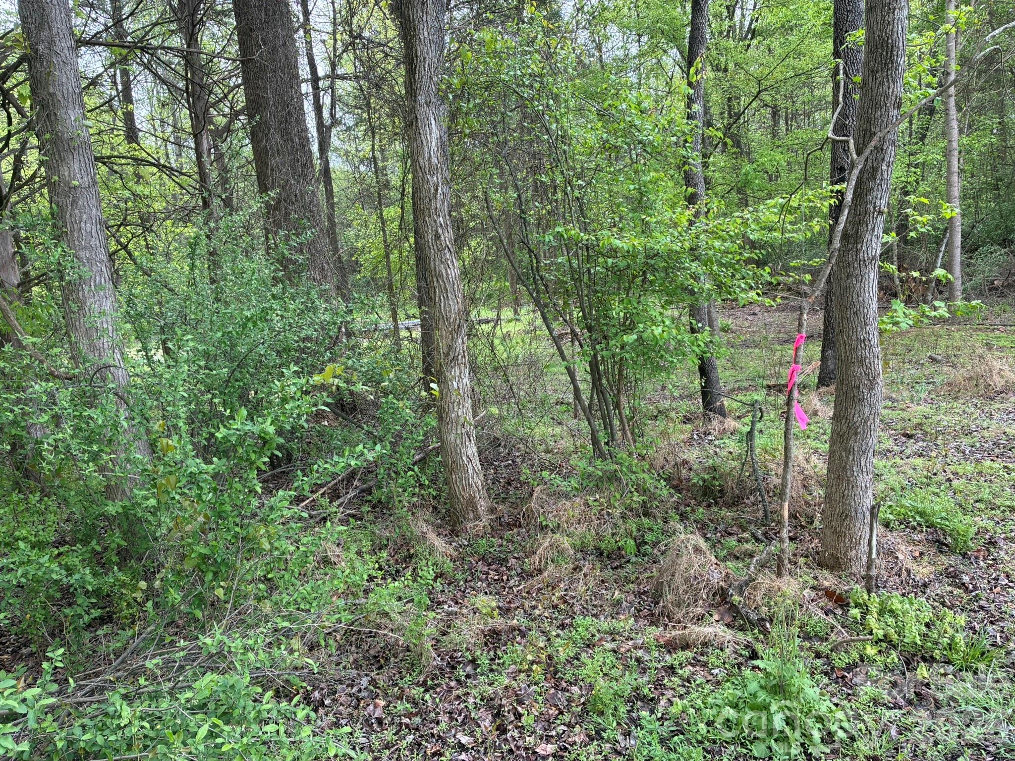 000 Miller Pond Road Rock Hill SC 29732