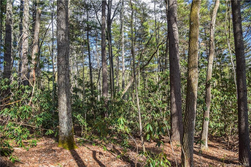 44 Hawberry Court Asheville NC 28805