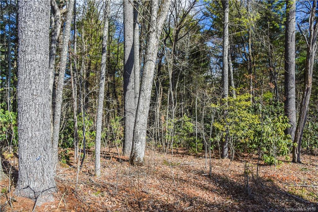44 Hawberry Court Asheville NC 28805