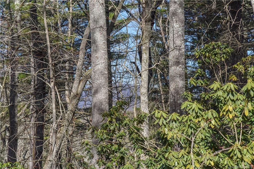 44 Hawberry Court Asheville NC 28805