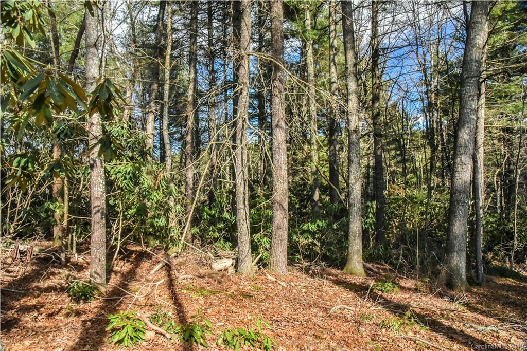 44 Hawberry Court Asheville NC 28805
