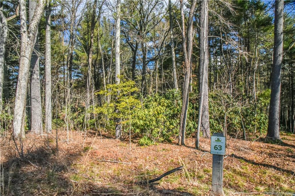 44 Hawberry Court Asheville NC 28805