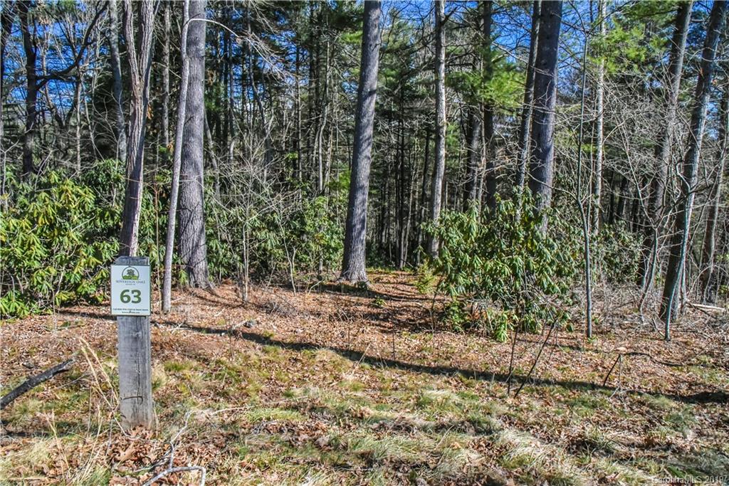 44 Hawberry Court Asheville NC 28805