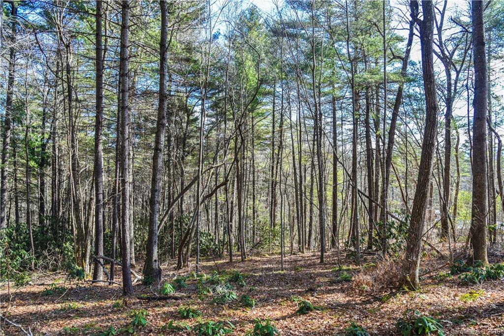 44 Hawberry Court Asheville NC 28805