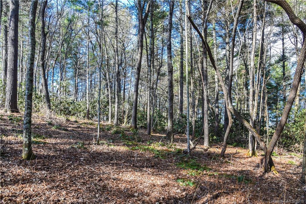 44 Hawberry Court Asheville NC 28805