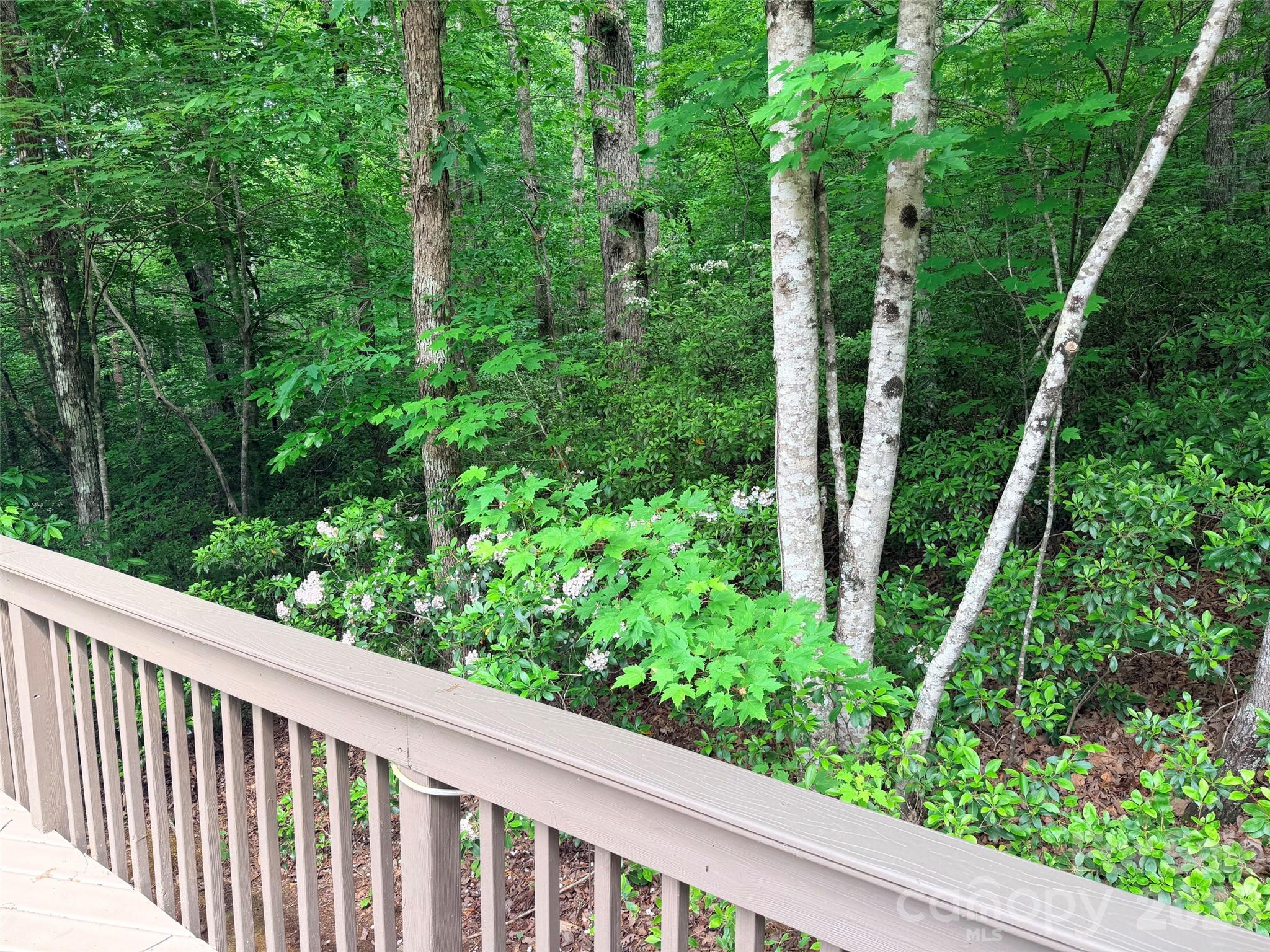 104 Willis Way Lake Lure NC 28746