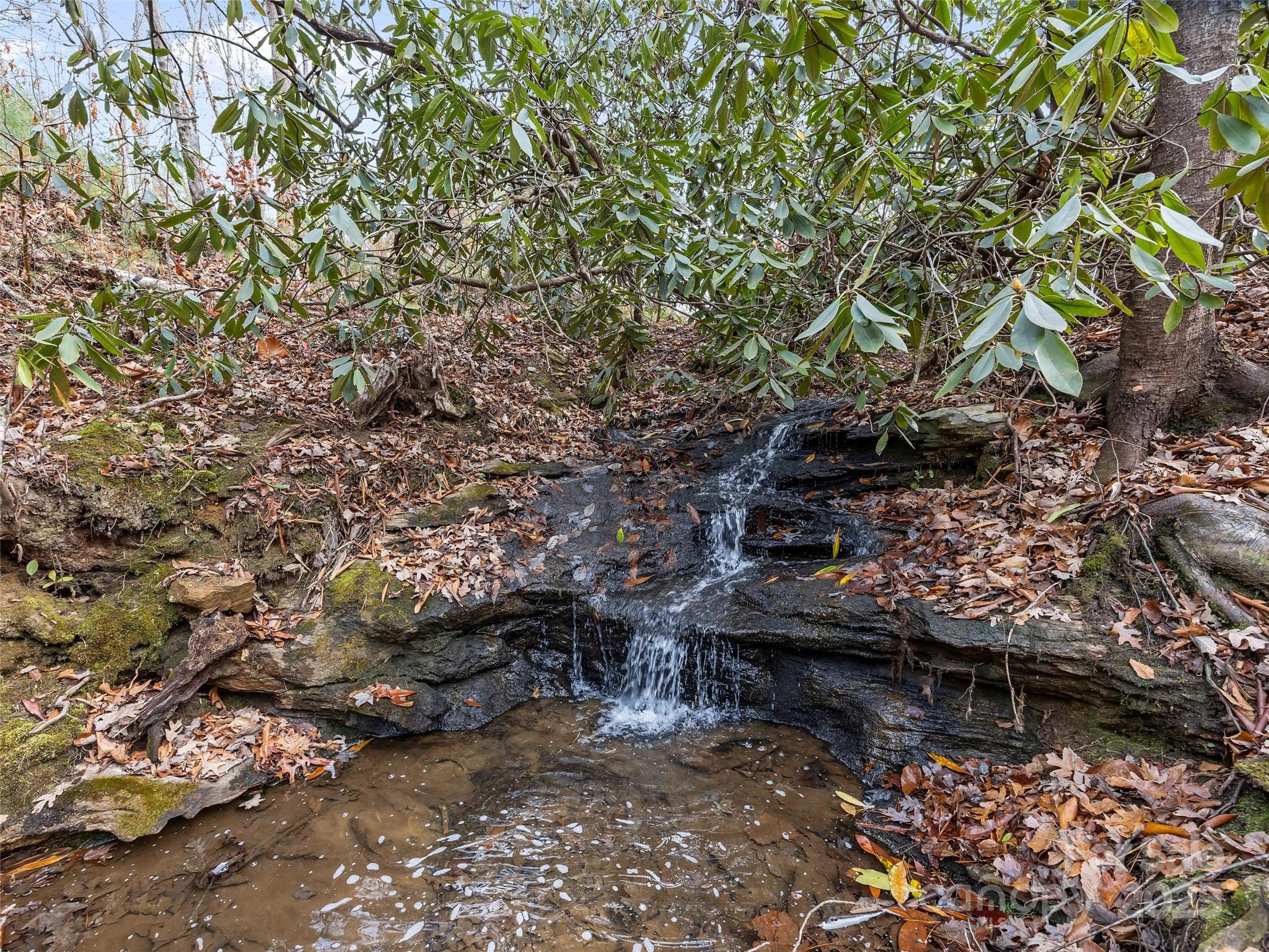 423 Moraine Court Asheville NC 28803
