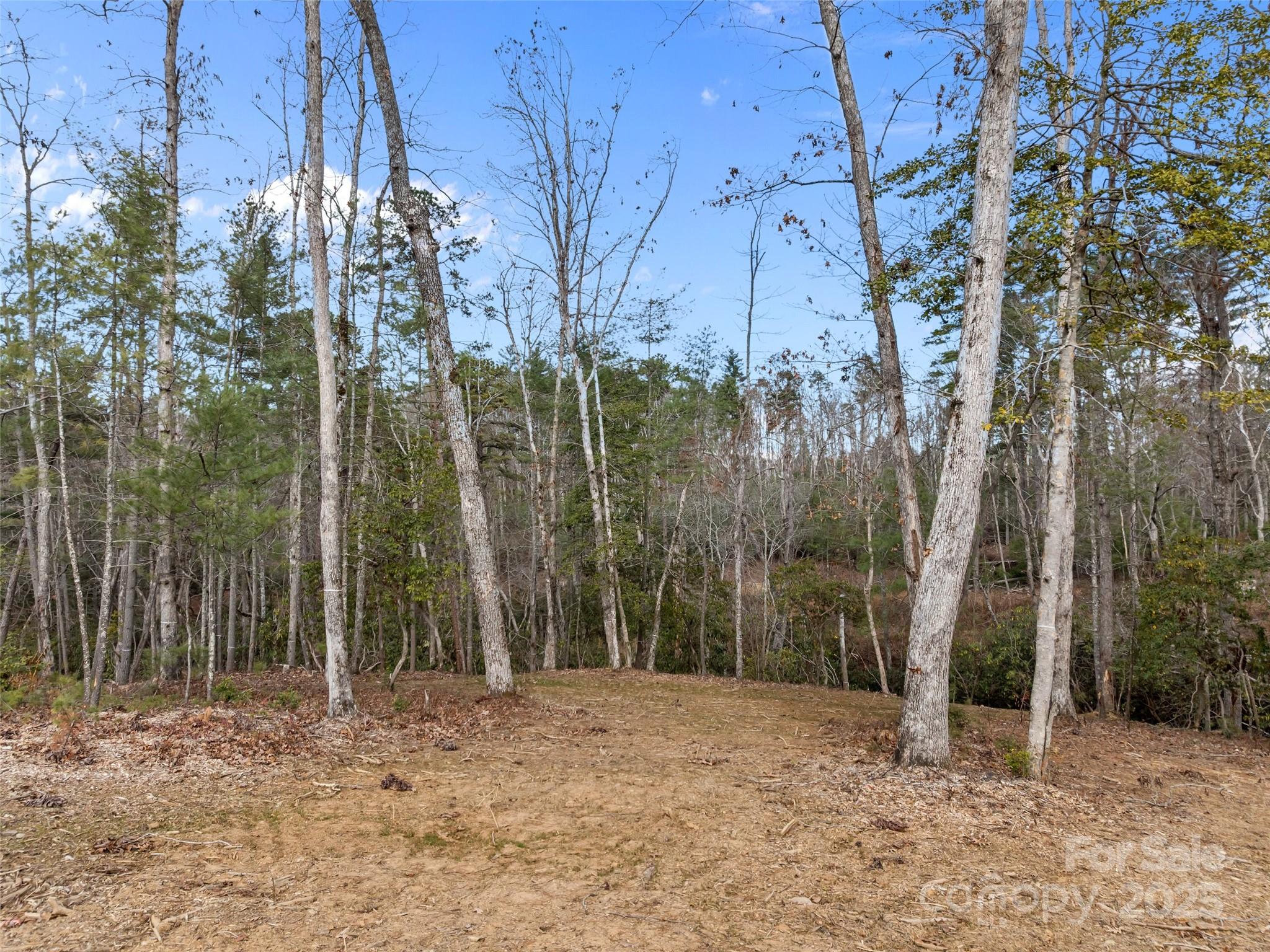 423 Moraine Court Asheville NC 28803