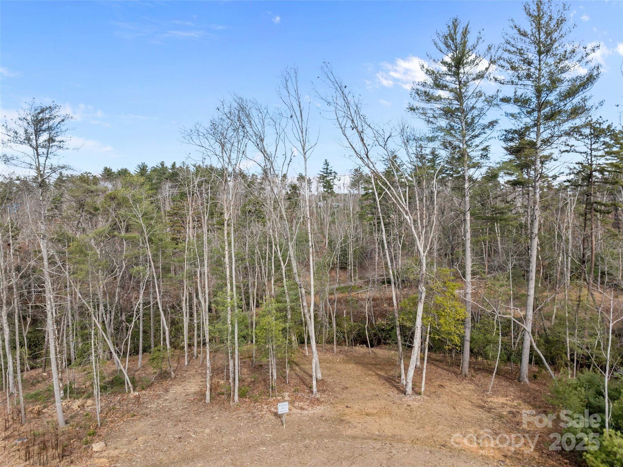 423 Moraine Court Asheville NC 28803