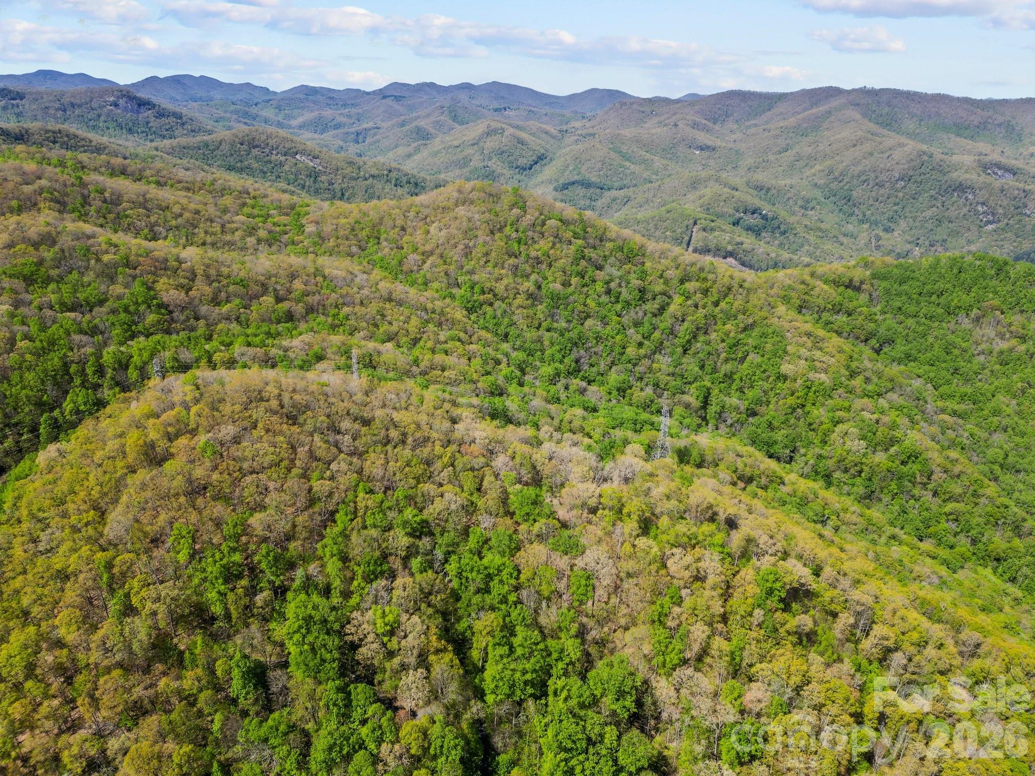 0000 Oat Field Road Tuckasegee NC 28783