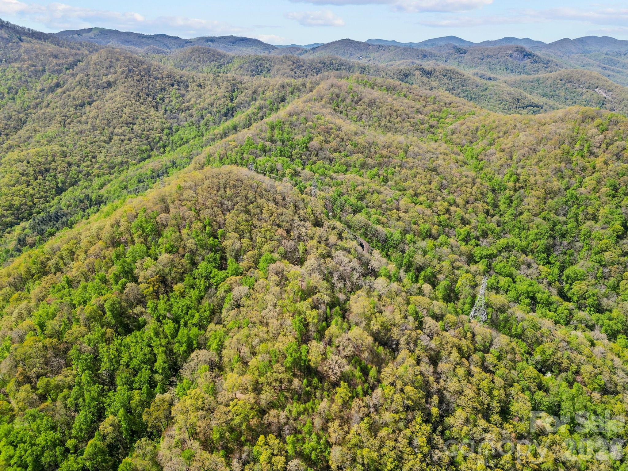 0000 Oat Field Road Tuckasegee NC 28783