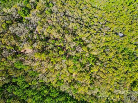 0000 Oat Field Road Tuckasegee NC 28783