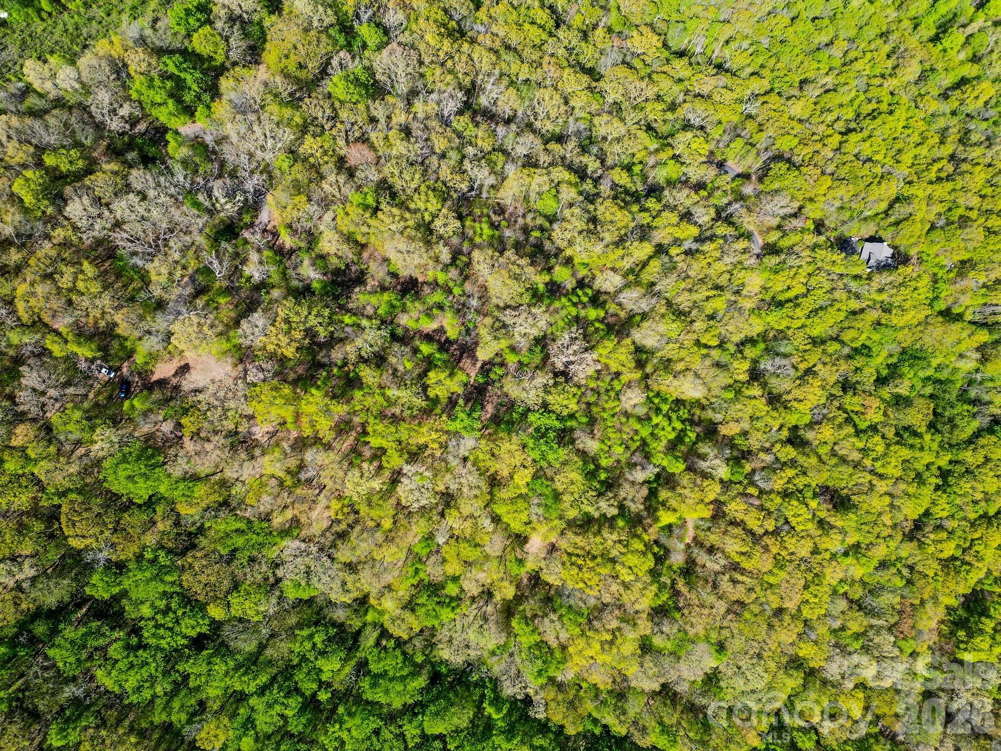 0000 Oat Field Road Tuckasegee NC 28783