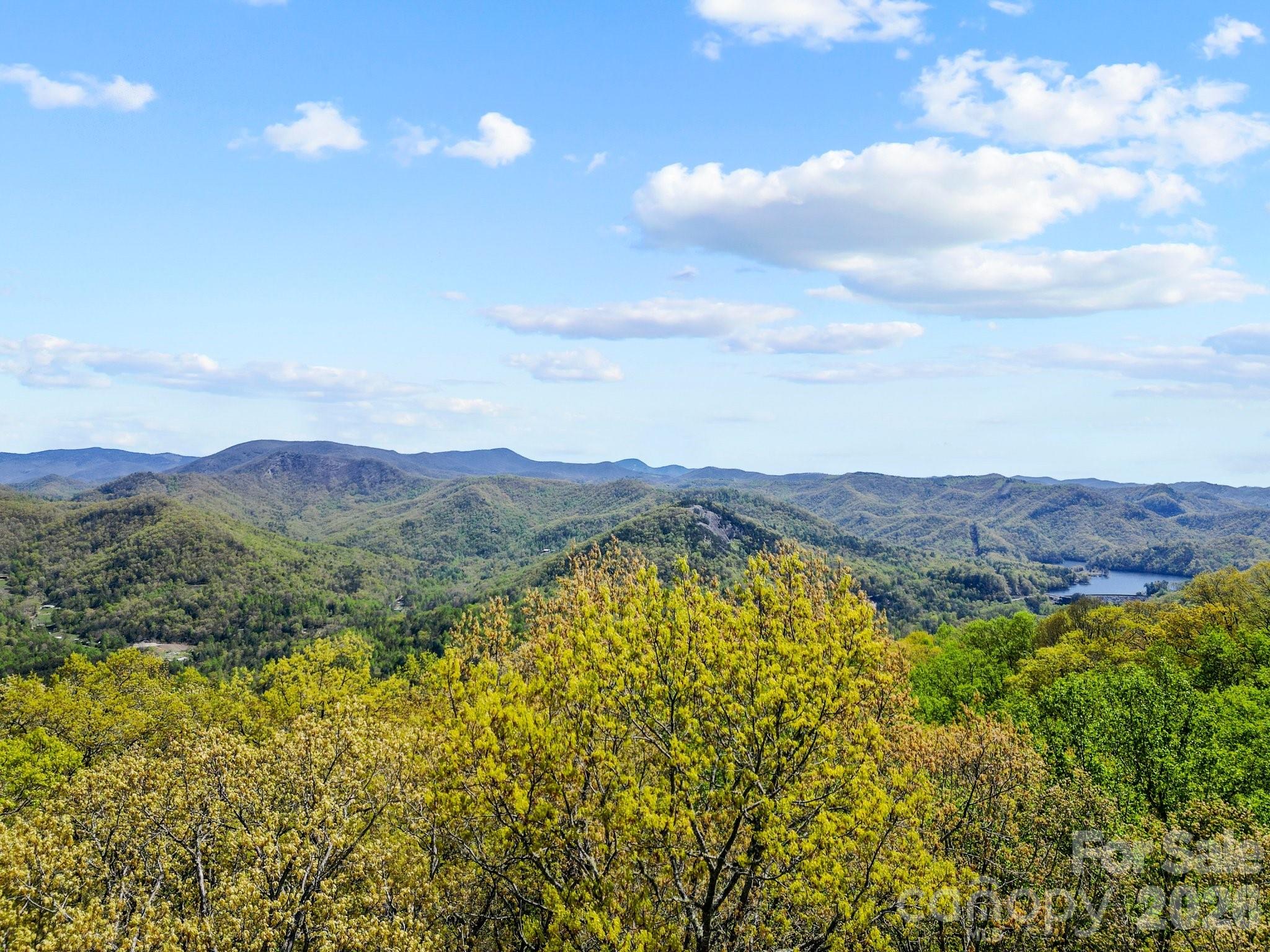 0000 Oat Field Road Tuckasegee NC 28783