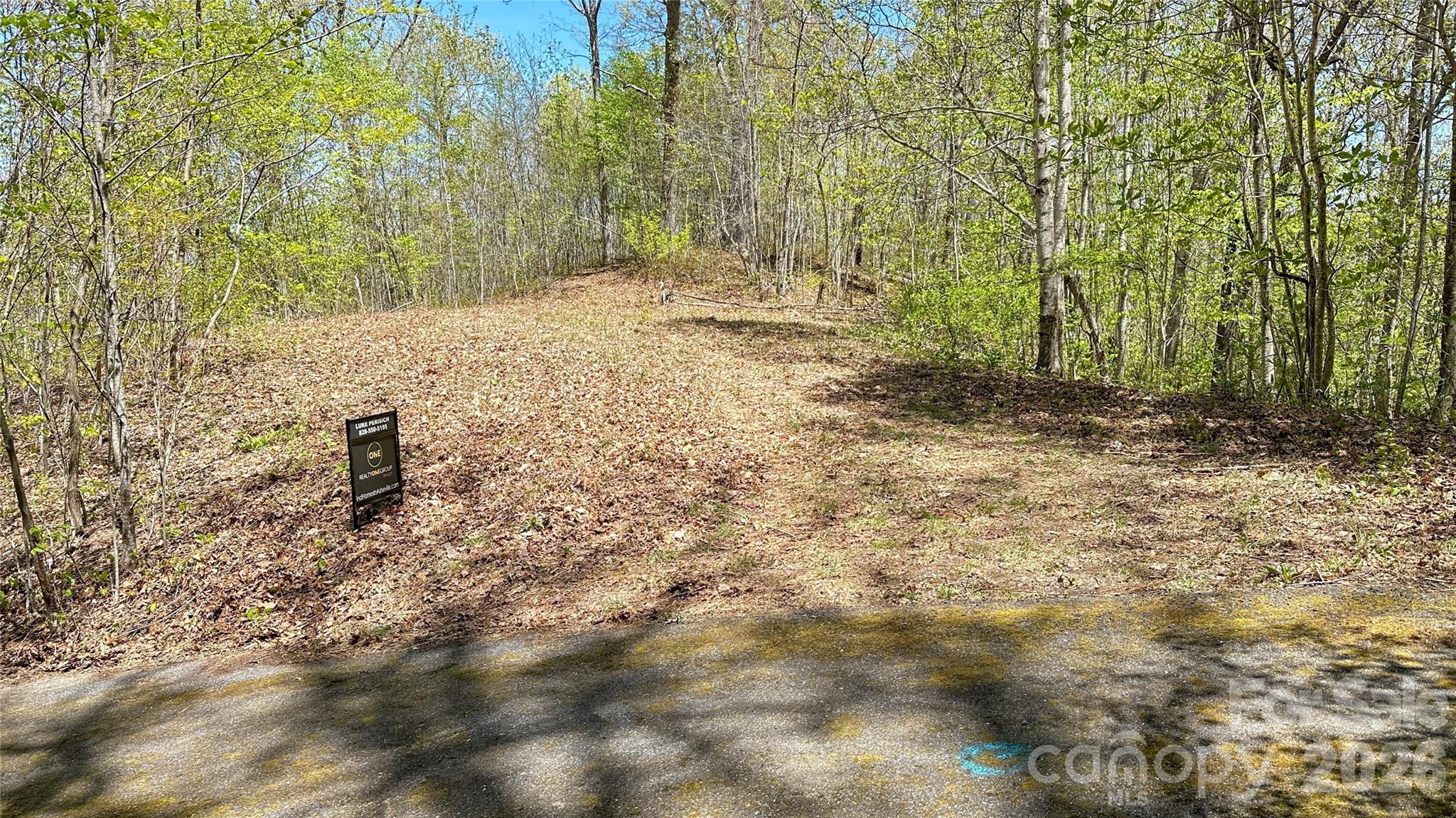 0000 Oat Field Road Tuckasegee NC 28783