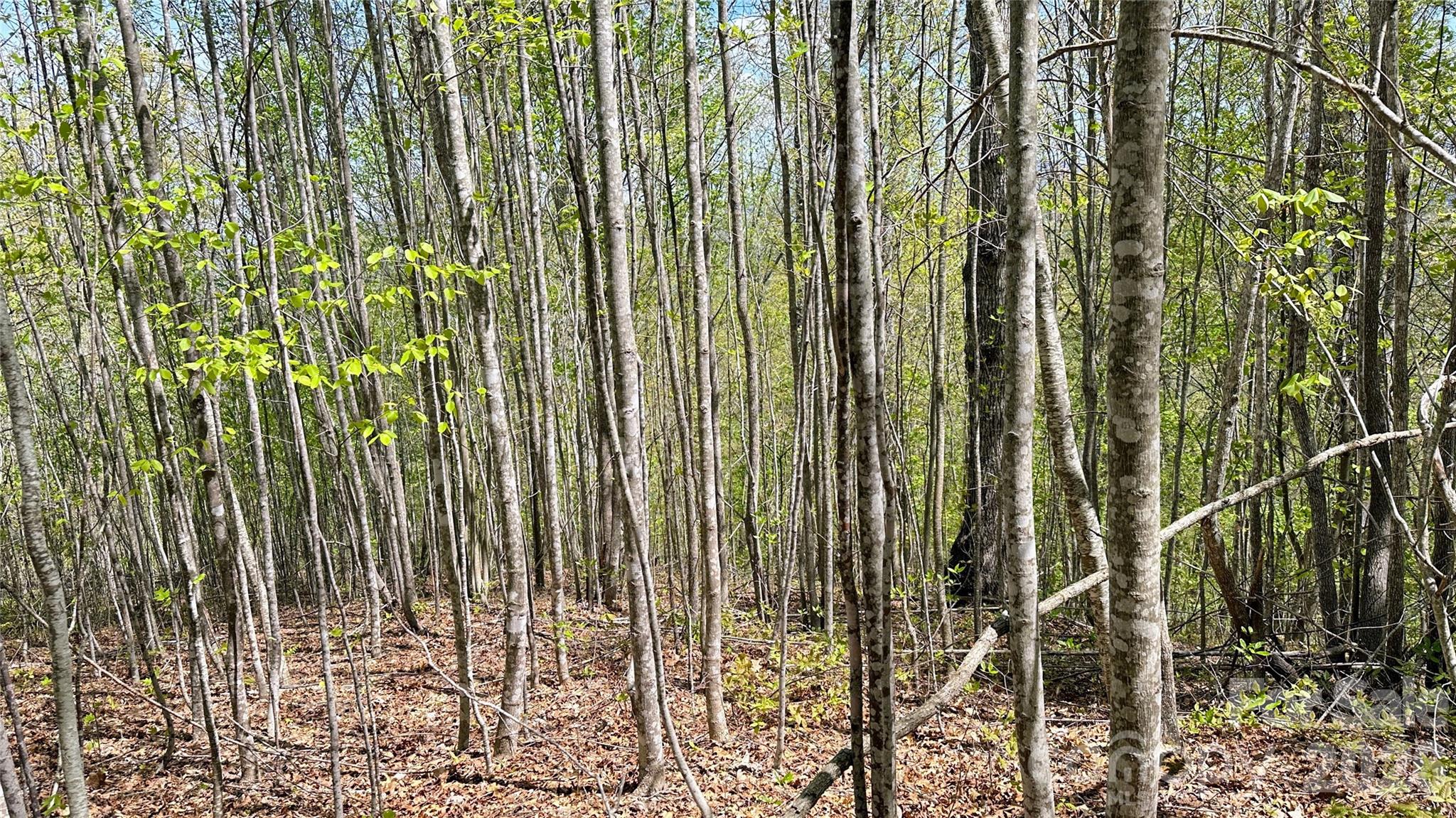 0000 Oat Field Road Tuckasegee NC 28783