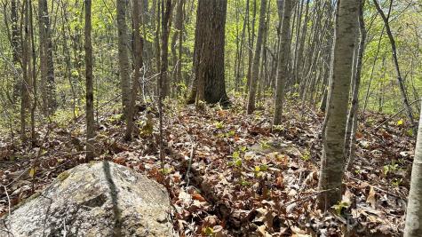0000 Oat Field Road Tuckasegee NC 28783