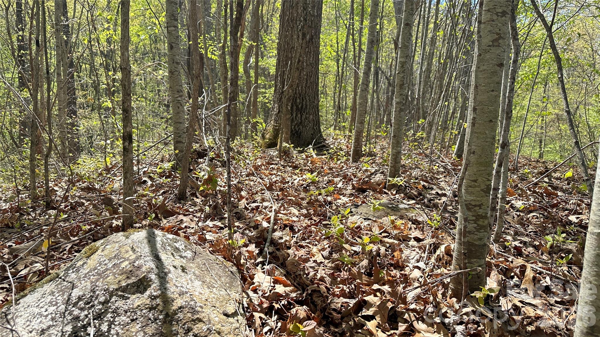 0000 Oat Field Road Tuckasegee NC 28783