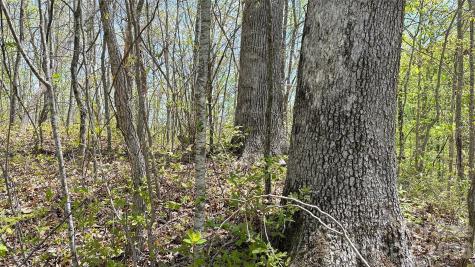 0000 Oat Field Road Tuckasegee NC 28783