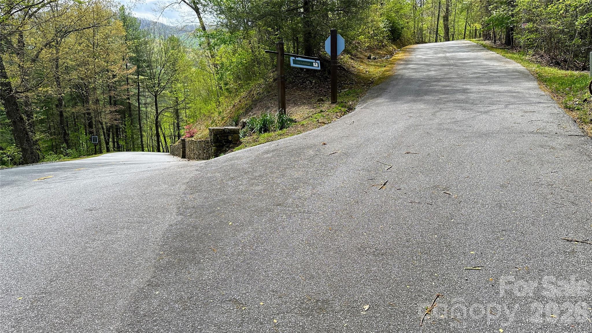 0000 Oat Field Road Tuckasegee NC 28783