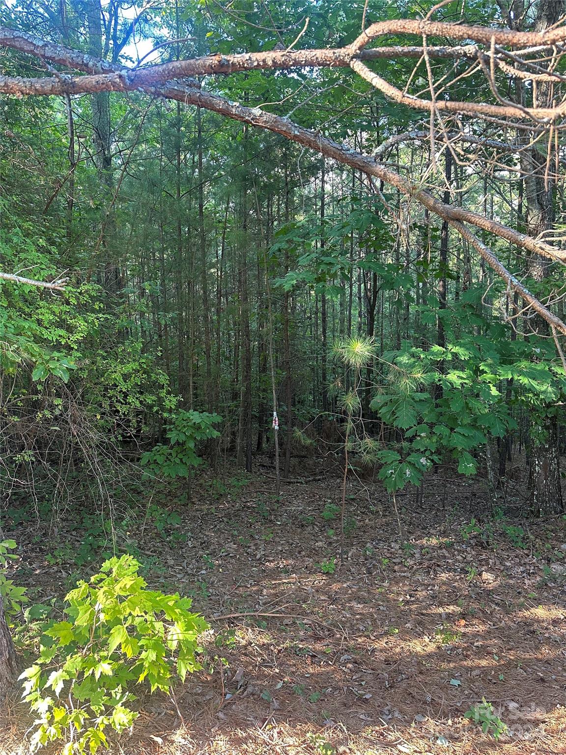 Tbd Hidden Lake Parkway Nebo NC 28761
