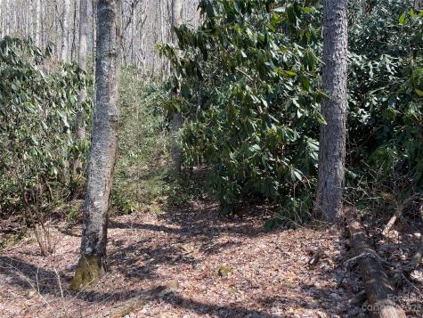 00 Vess Owen Road Tuckasegee NC 28783