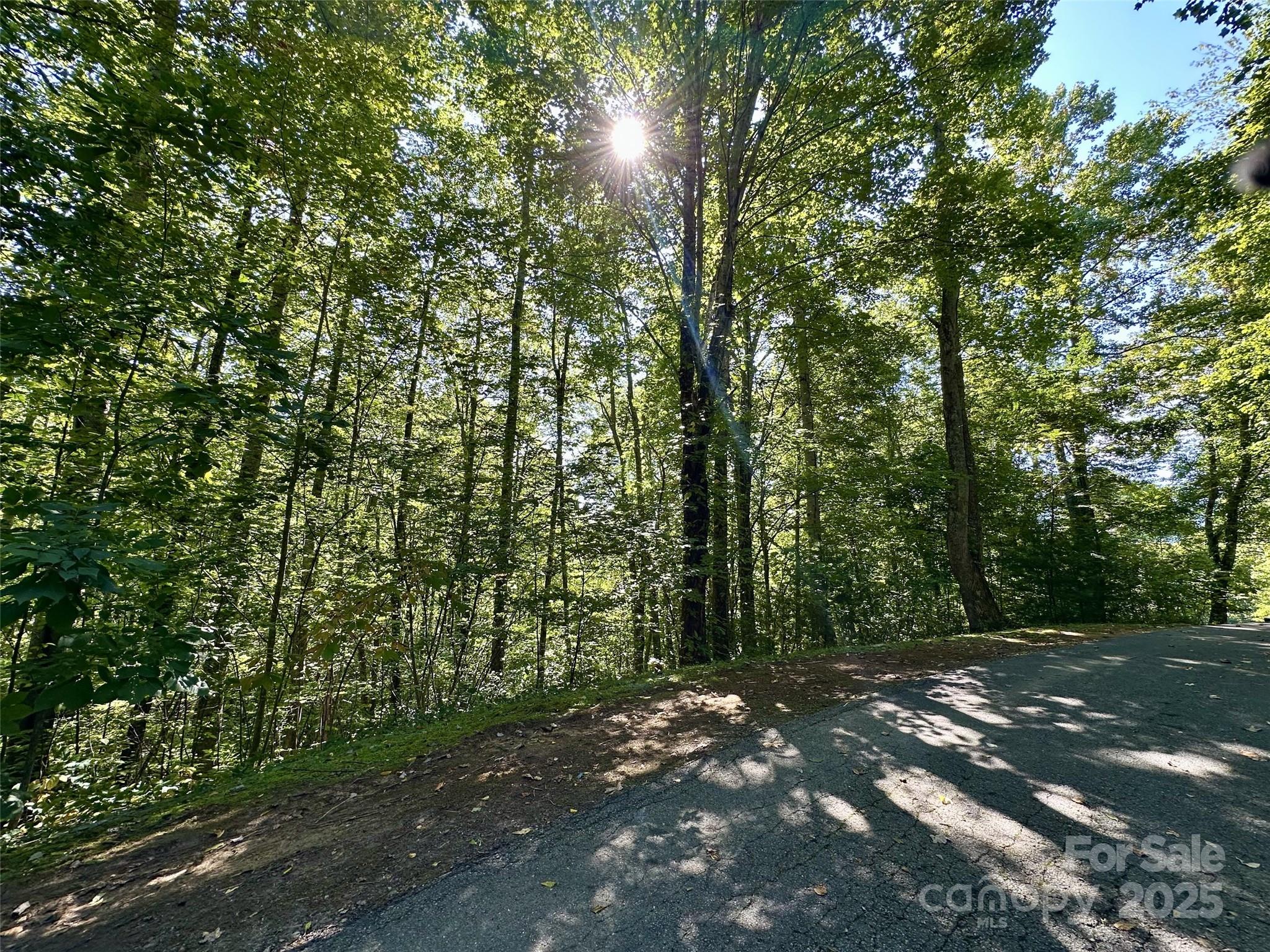 00 Loblolly Way Maggie Valley NC 28751
