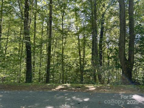 00 Loblolly Way Maggie Valley NC 28751