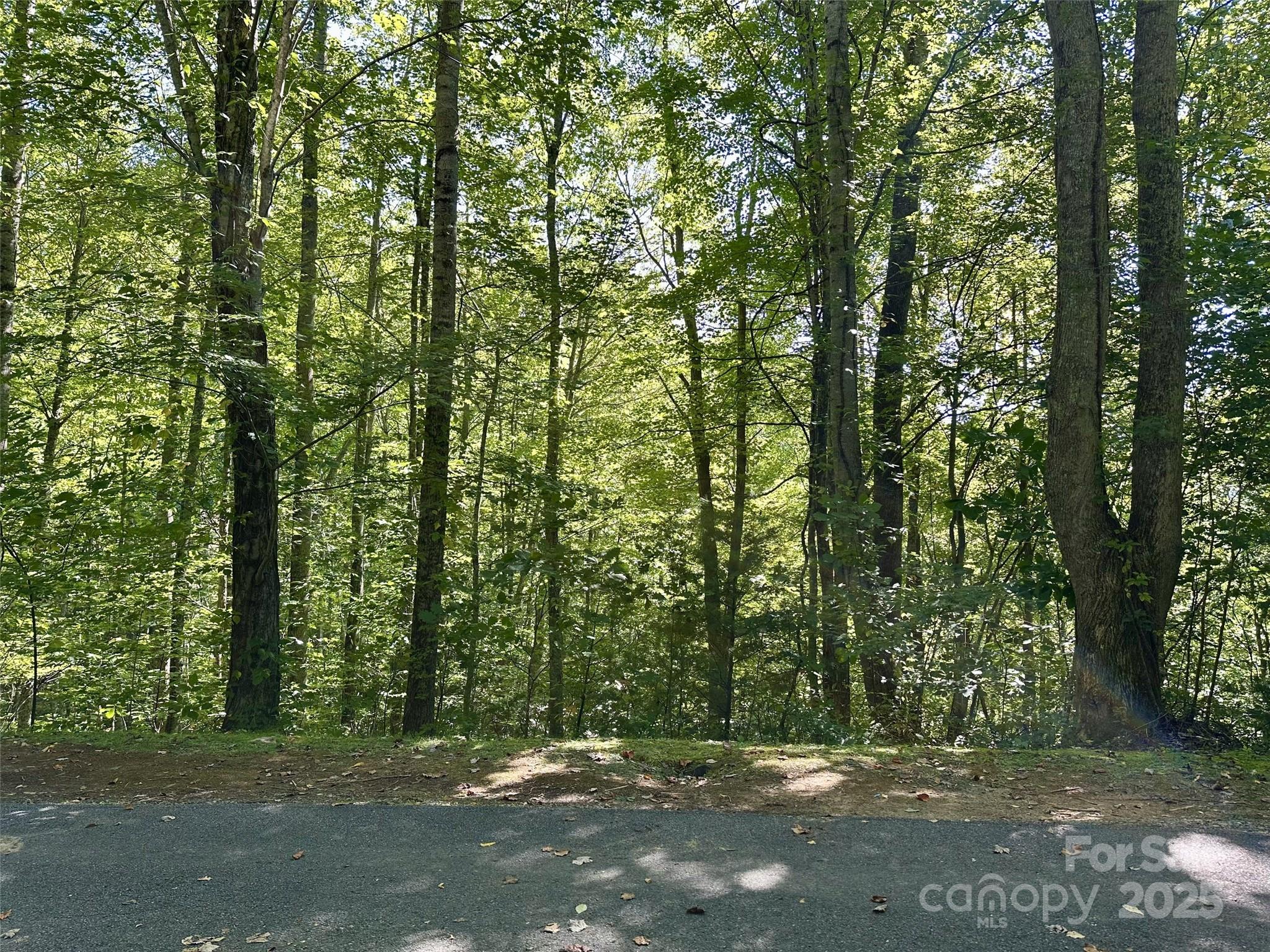 00 Loblolly Way Maggie Valley NC 28751