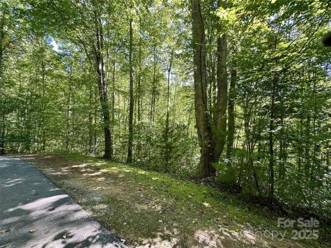 00 Loblolly Way Maggie Valley NC 28751