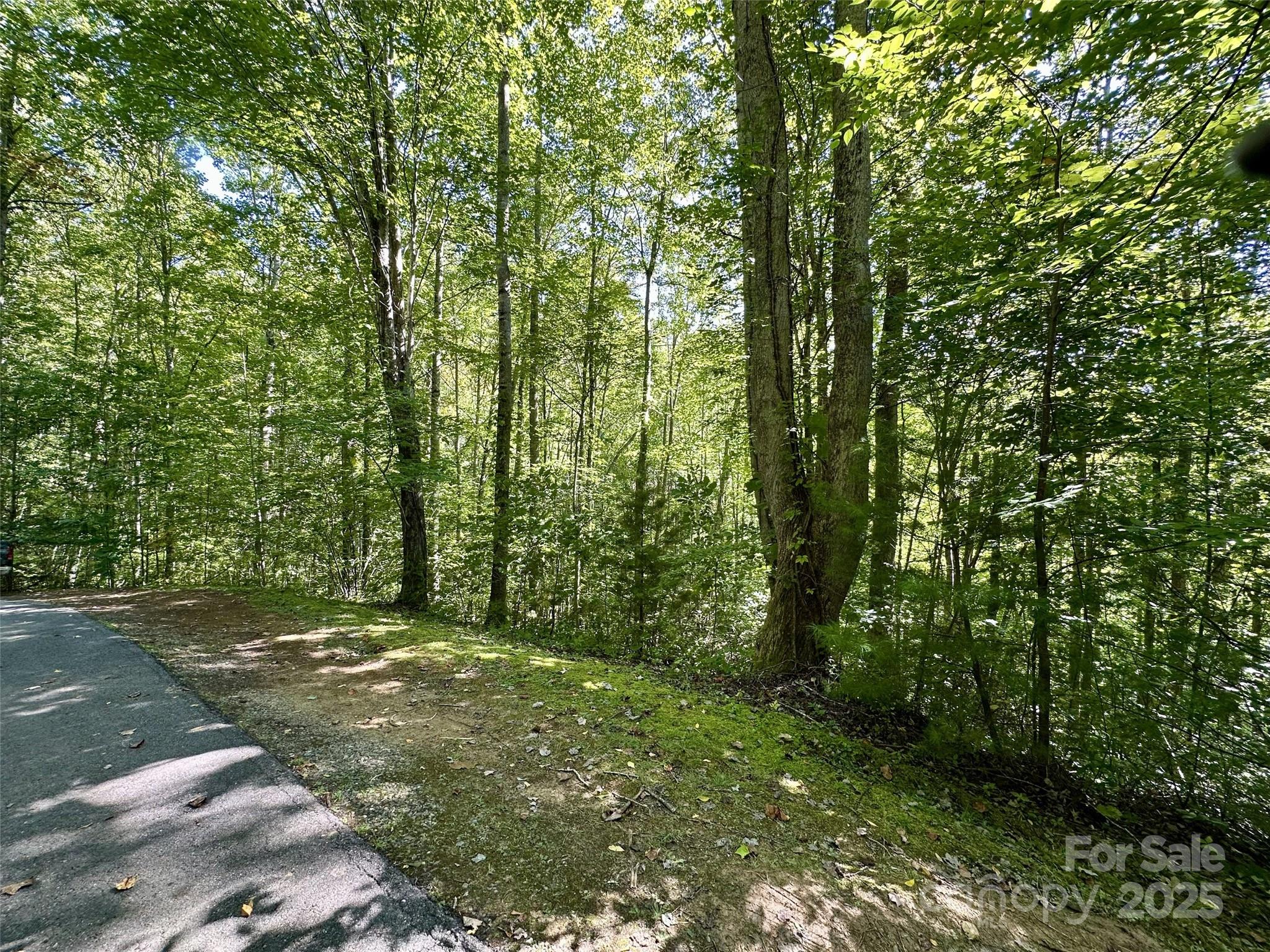 00 Loblolly Way Maggie Valley NC 28751