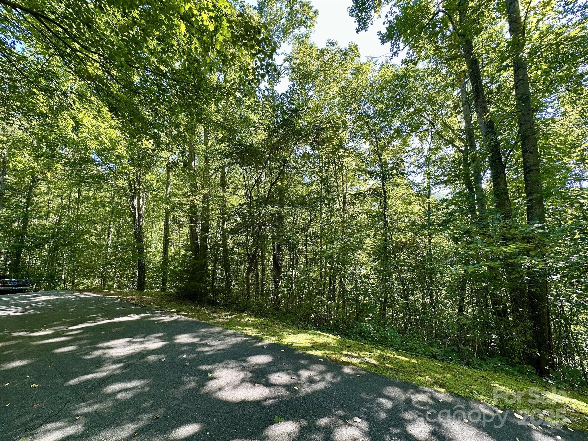00 Loblolly Way Maggie Valley NC 28751