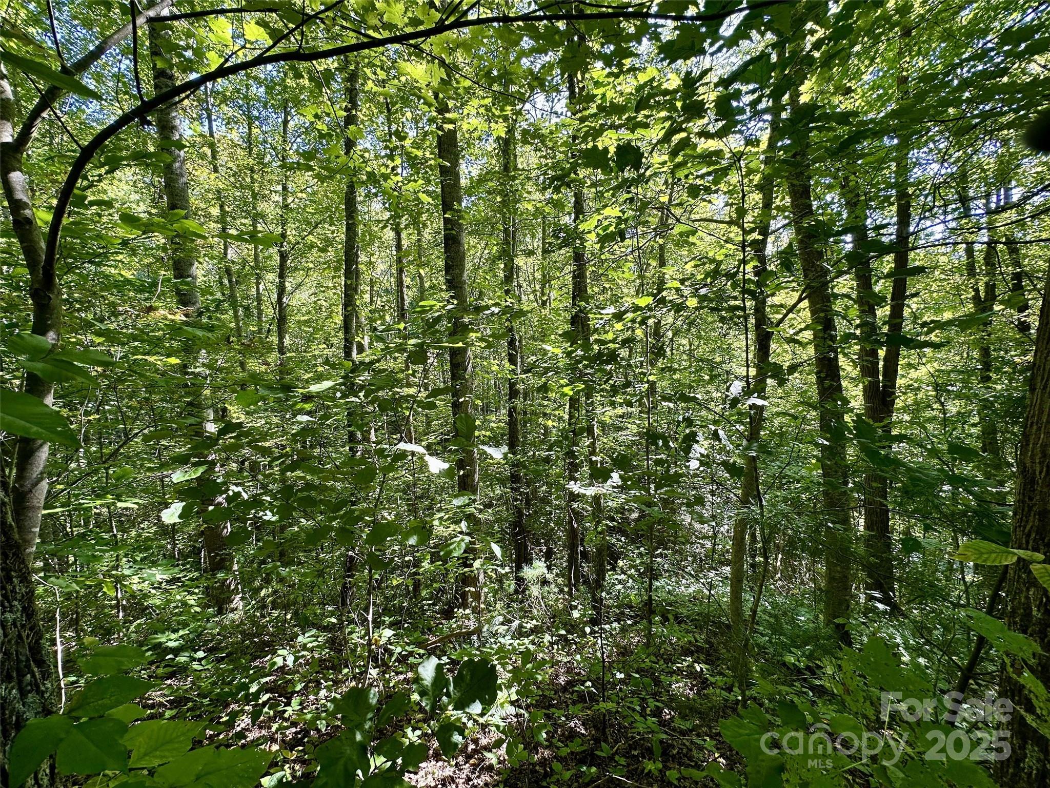 00 Loblolly Way Maggie Valley NC 28751