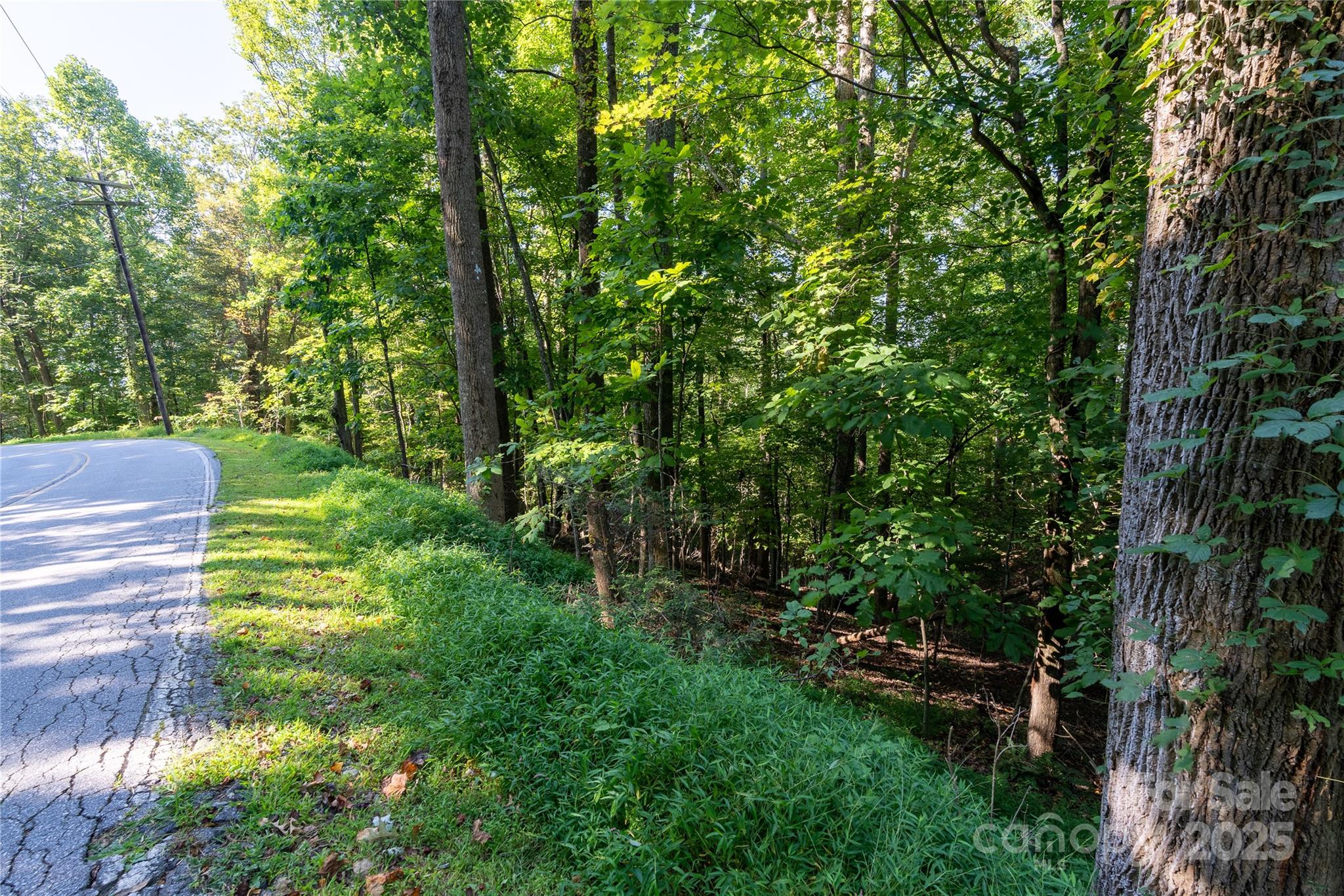 0000 Laurel Park Highway Laurel Park NC 28739
