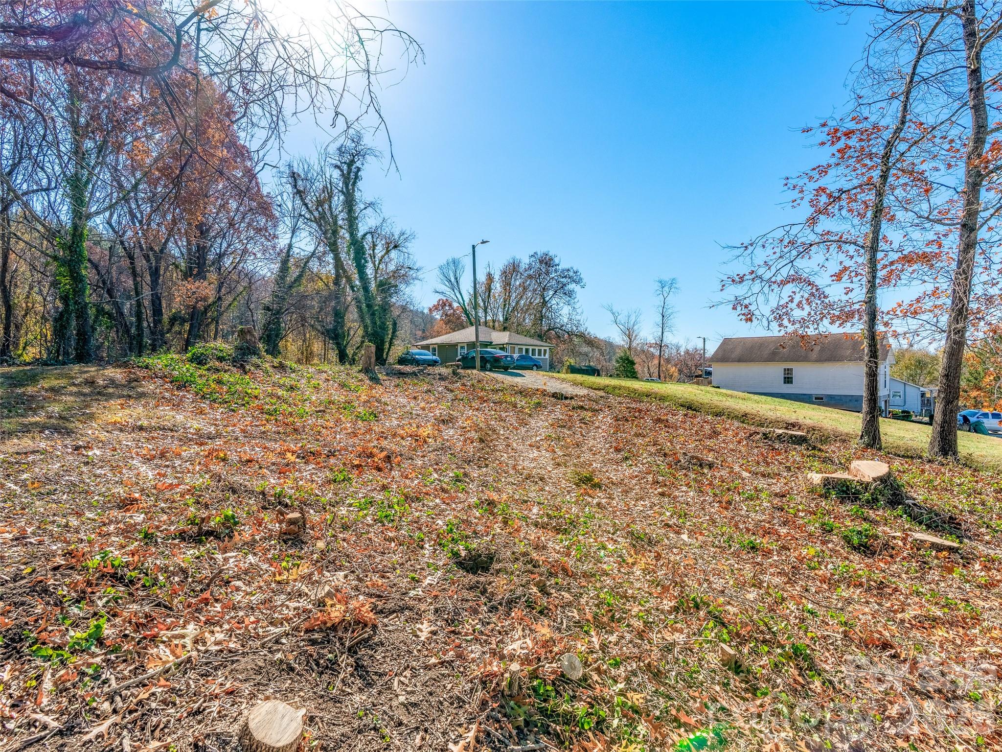 225 S Beaumont Street Asheville NC 28801