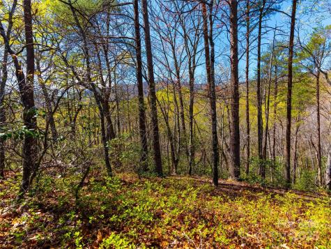 107 Deep Gap Road E Mill Spring NC 28756