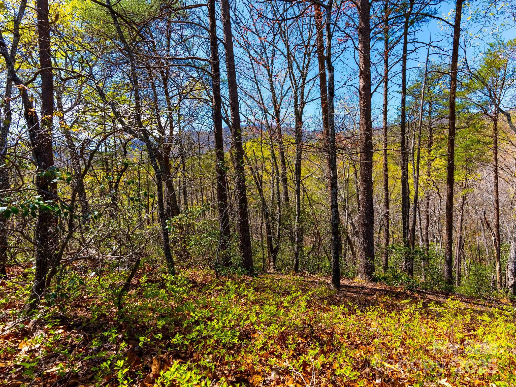 107 Deep Gap Road E Mill Spring NC 28756