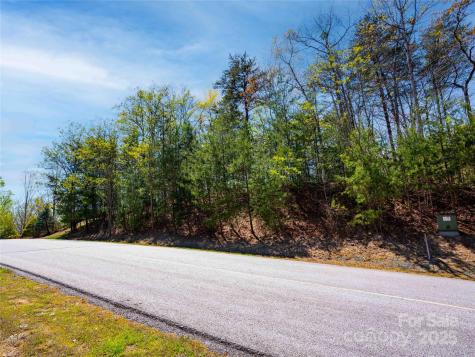107 Deep Gap Road E Mill Spring NC 28756
