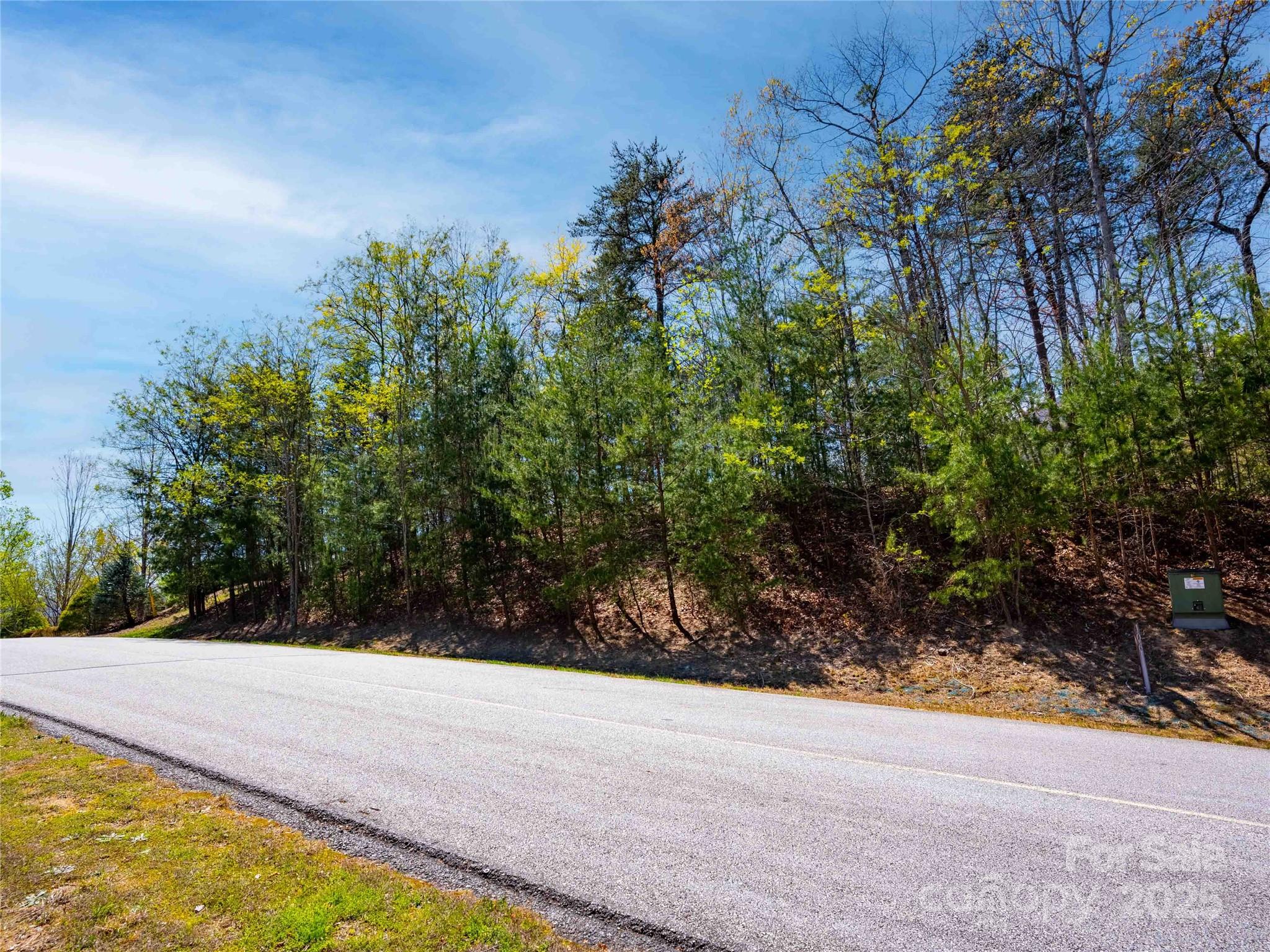 107 Deep Gap Road E Mill Spring NC 28756