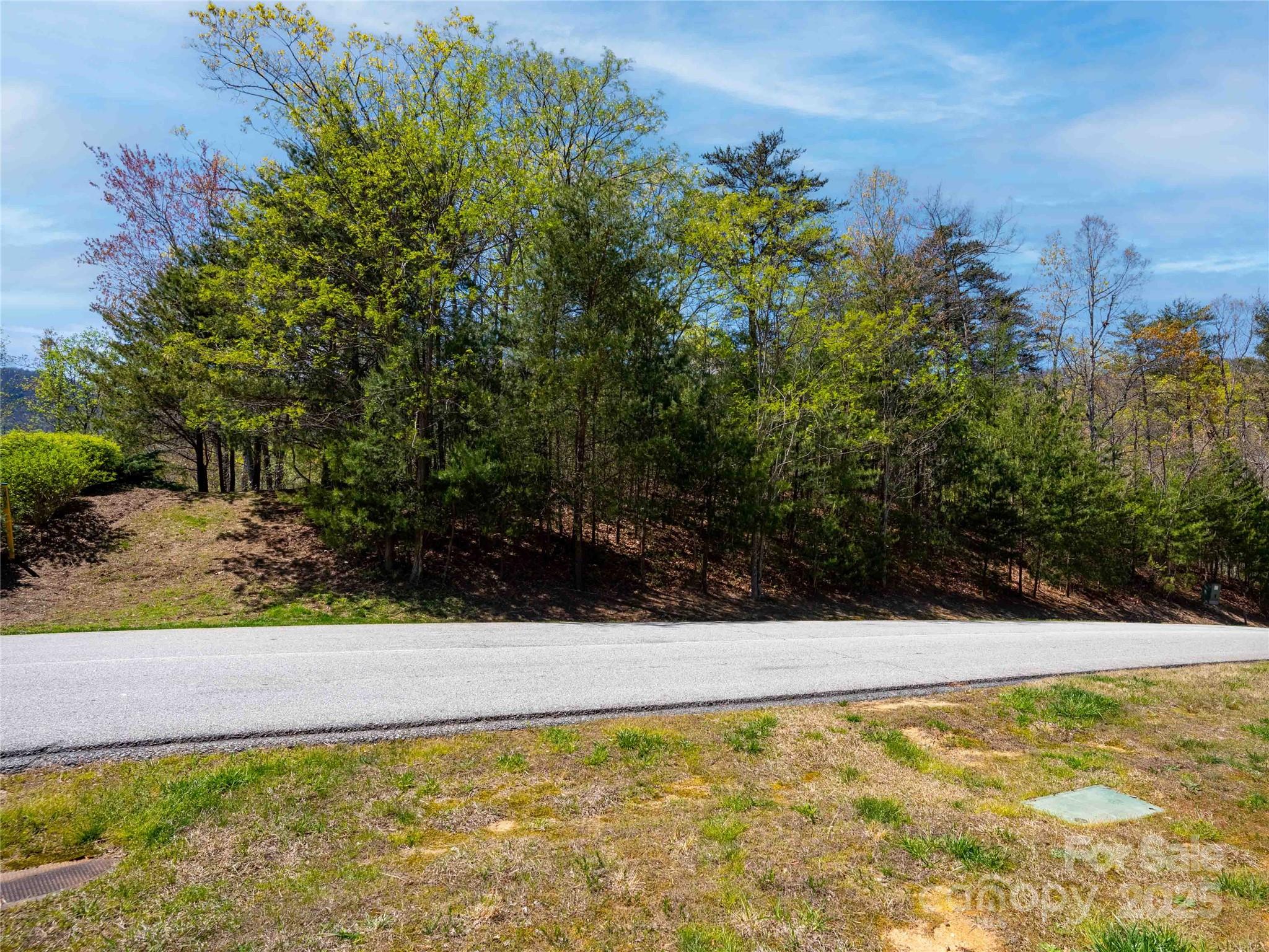 107 Deep Gap Road E Mill Spring NC 28756