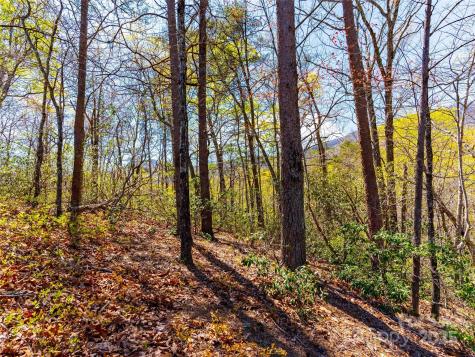 107 Deep Gap Road E Mill Spring NC 28756
