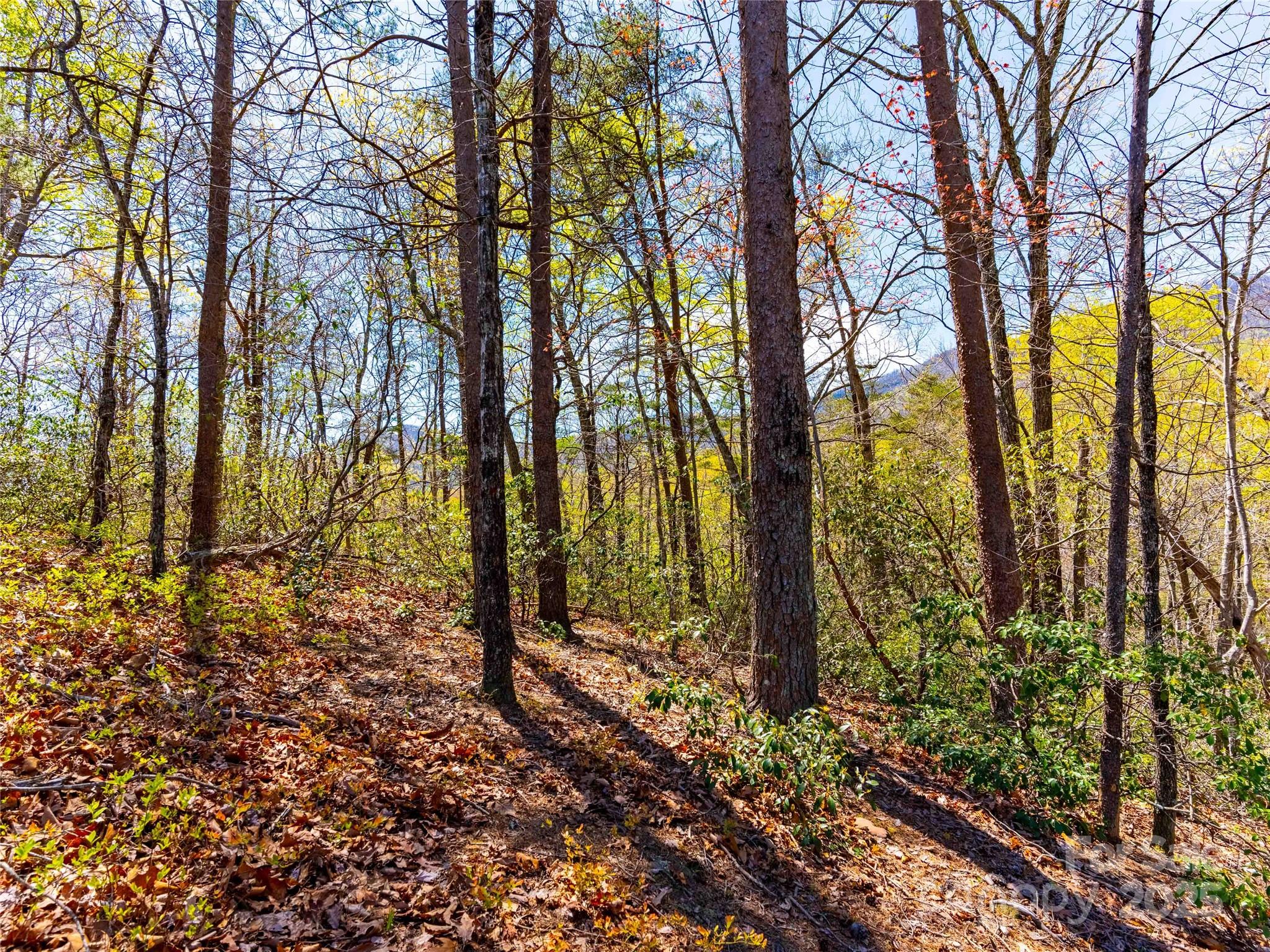 107 Deep Gap Road E Mill Spring NC 28756