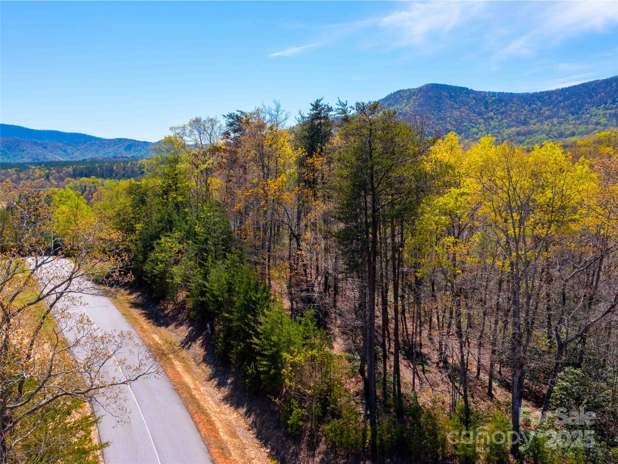 107 Deep Gap Road E Mill Spring NC 28756