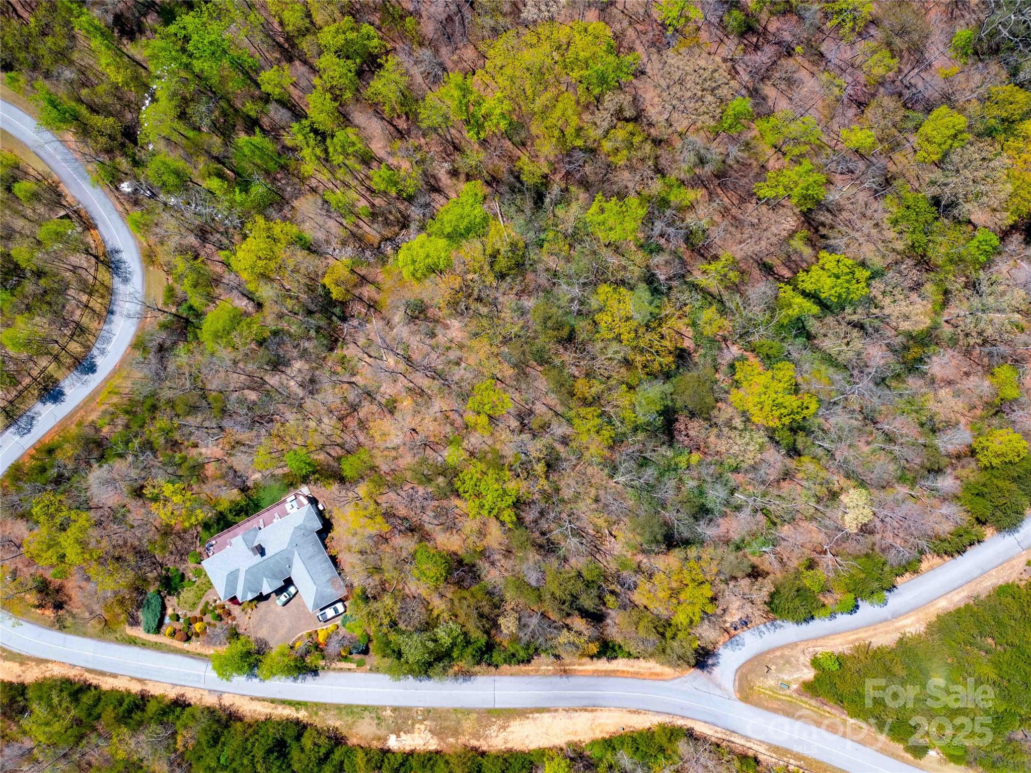 107 Deep Gap Road E Mill Spring NC 28756
