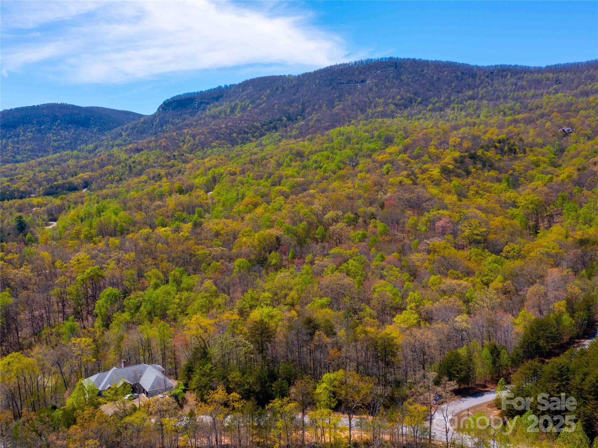 107 Deep Gap Road E Mill Spring NC 28756